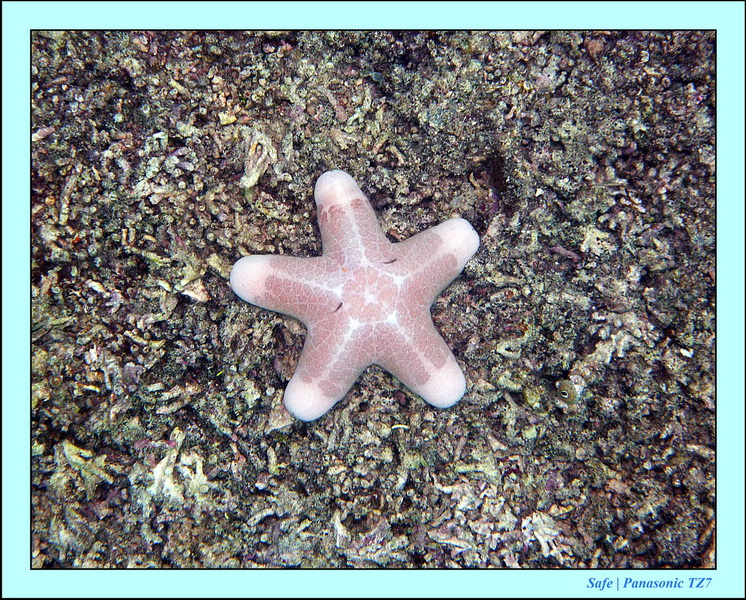 2011 - 08 - Bohey Dulang Island 22